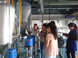 化學(xué)工程系煤化工教學(xué)工廠本學(xué)期教師培訓(xùn)圓滿(mǎn)結(jié)束，深化產(chǎn)教融合，提升教育服務(wù)質(zhì)量