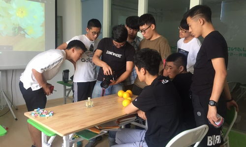 青島創(chuàng)藝教育與淘學(xué)培訓(xùn) 教育咨詢(xún)服務(wù)體驗(yàn)與深度解析