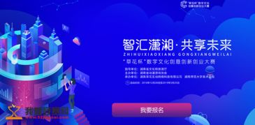 智匯瀟湘，共享未來(lái) 數(shù)字文化創(chuàng)意軟件開發(fā)的創(chuàng)新引擎